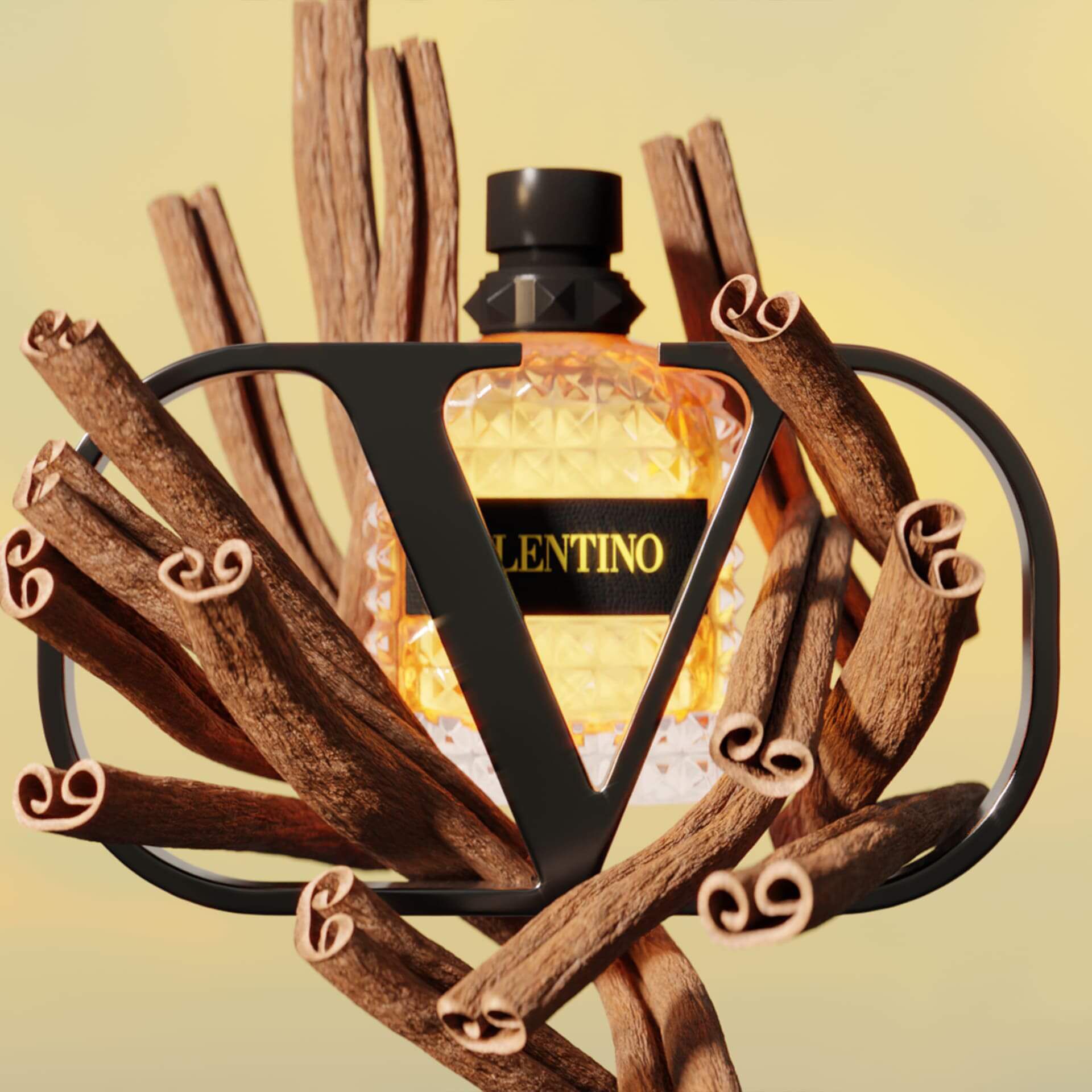 Valentino uomo macy's discount